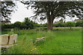 SE end of Carhampton churchyard