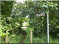 Footpath bridge and stile