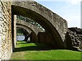 NT0077 : Remains of the Barbican, Linlithgow Palace by Philip Halling