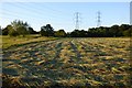 Farmland, Clifton Hampden