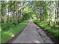 Minor road beside Selvie Wood approaching the A926 road