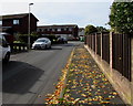 Autumn fallen leaves, Llanfaes, Brecon