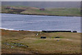 Mussel Farm, South Voe