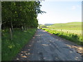 Minor road passing between woodland and hay field near to Little Kenny