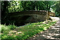 Basingstoke Canal