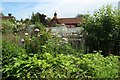 Goudhurst open gardens