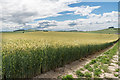 SU0465 : Barley field by Ian Capper