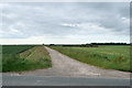 Track towards Banks Marsh