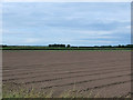 Ploughed Farmland near Banks