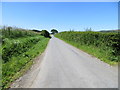 Hedge-lined minor road near to Milton of Clunie