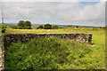 WW2 Home Guard defensive wall at Pentre Berw (1)