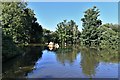 Mountfield Village Pond