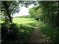 Llwybr i Sealyham / Path to Sealyham