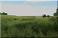 Arable field on Butterwick Road, Sedgefield