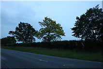 TL3153 : Ermine Way south of Longstowe by David Howard