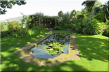 SS8746 : Greencombe Garden's lily pond by John C