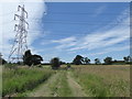 Public bridleway past Long Leys Farm