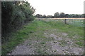 Footpath towards Field Farm