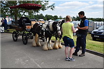 H4374 : Cart rides - 179th Omagh Annual Agricultural Show 2019 by Kenneth  Allen