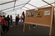 H4374 : Art entries - 179th Omagh Annual Agricultural Show 2019 by Kenneth  Allen