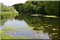 River Avon near Trafalgar Park