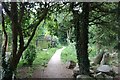 Path by the River Avon, Pewsey