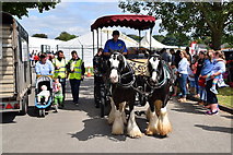 H4374 : Horses and cart - 179th Omagh Annual Agricultural Show 2019 by Kenneth  Allen