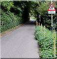 Caution - pedestrians, Station Approach, Upwey