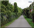 10 mph speed limit sign, Station Approach, Upwey