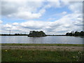 Reservoir No. 5, Walthamstow Wetlands