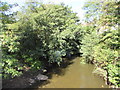 Upstream along the Sirhowy, Ynysddu