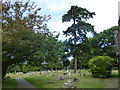 St John the Baptist, Westfield: churchyard (b)