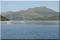 NN0908 : Yachts on Loch Fyne by Philip Halling