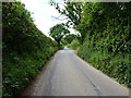 Lane towards Condover