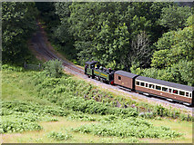 SN7377 : No.8 and train at Derwen, Vale of Rheidol Railway by John Lucas