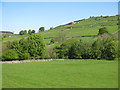 Farmland between East Haswicks and the River Wear