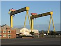 J3575 : Samson and Goliath by Oliver Dixon