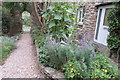 Archway into a locked garden, Totnes