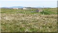 Crofts on the east side of Benbecula