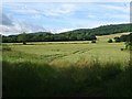 Farmland at Little Malvern