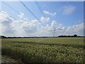TL1853 : Power lines near Tempsford by Jonathan Thacker
