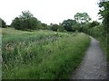 The Nottingham Canal, looking east near Newmanleys Road