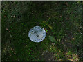 Jodrell Bank arboretum - Eris plaque