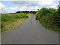 Entrance to Lizard Farm