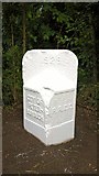 TF1605 : Newly repainted former council boundary stone, Werrington by Paul Bryan