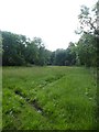 SP9801 : Field near Cowcroft Farm, Tylers Hill by David Hillas