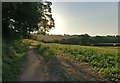 Farmland at High Habberley