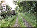 Looking up the track