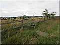 Stile at Peascliff Farm