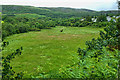 Floodplain of Ullapool River